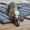 Elbhunde MiaCara Reisedecke Strada Asphalt Dackel