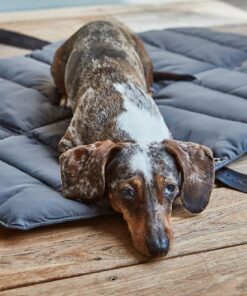 elbhunde dresden miacara dog reisedecke strada aspahlt dackel