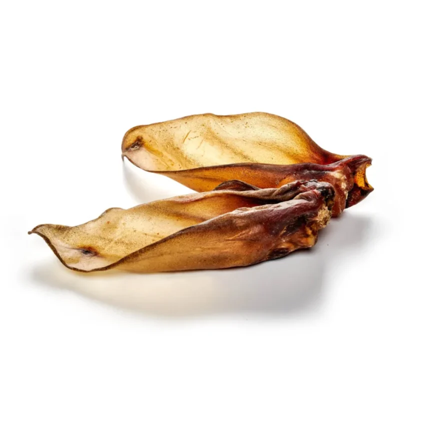 Rinder Ohren XL mit Muschel