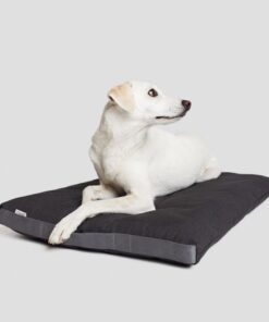 elbhunde cloud7 bett siesta graphit hund liegend