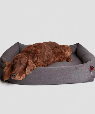 elbhunde cloud7 bett sleppy deluxe tweed taupe hunde