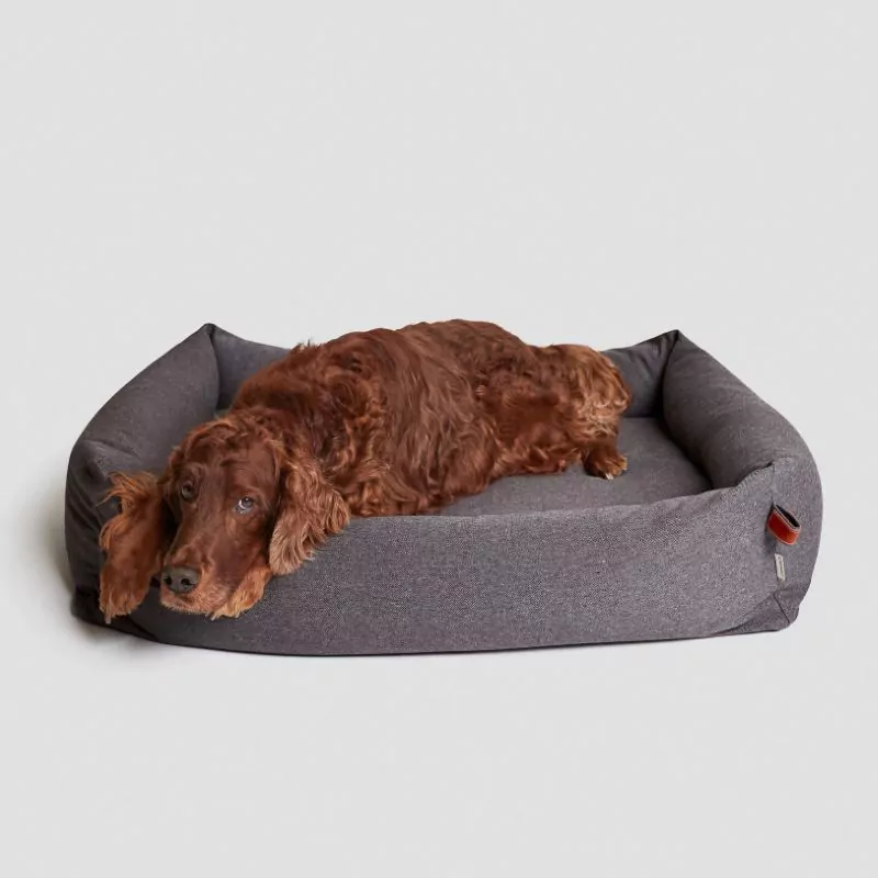 elbhunde cloud7 bett sleppy deluxe tweed taupe hunde