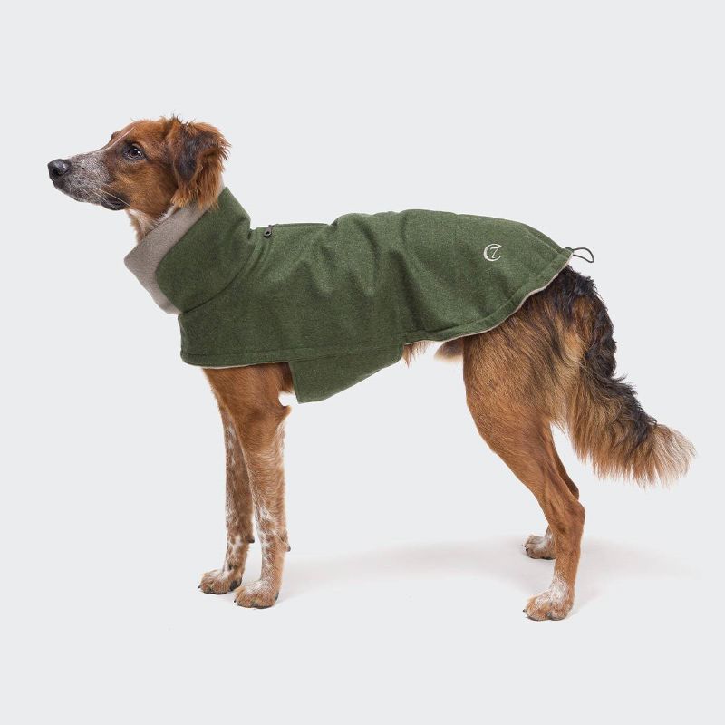 Elbhunde Cloud7 Mantel Brooklyn Ferngreen Hund stehend