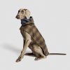 Elbhunde Cloud7 Mantel Brooklyn Waxed Tartan Hund