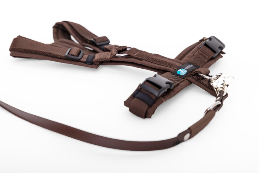 elbhunde dresden annyx set leine und brustgeschirr fun braun braun mit premium leine biothane