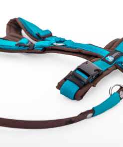 elbhunde dresden annyx set leine und brustgeschirr fun braun petrol mit premium leine biothane