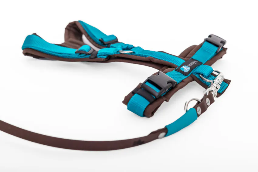 elbhunde dresden annyx set leine und brustgeschirr fun braun petrol mit premium leine biothane