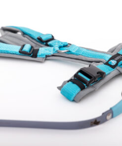 elbhunde dresden annyx set leine und brustgeschirr fun grau eisblau mit premium leine biothane