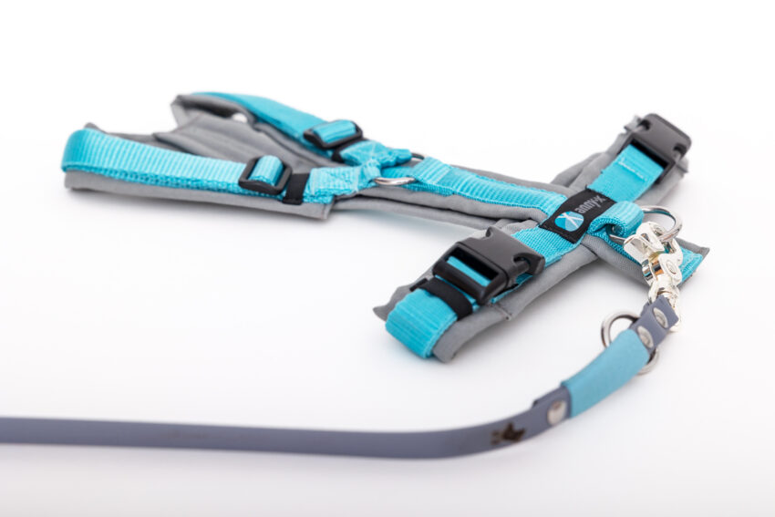 elbhunde dresden annyx set leine und brustgeschirr fun grau eisblau mit premium leine biothane