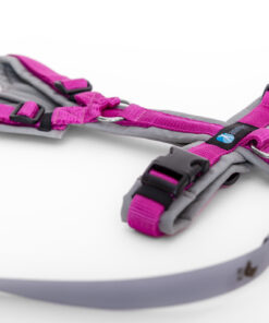 elbhunde dresden annyx set leine und brustgeschirr fun grau pink mit premium leine biothane