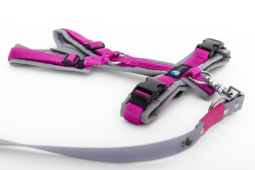 elbhunde dresden annyx set leine und brustgeschirr fun grau pink mit premium leine biothane