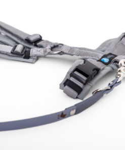 elbhunde dresden annyx set leine und brustgeschirr fun grau silber mit premium leine biothane