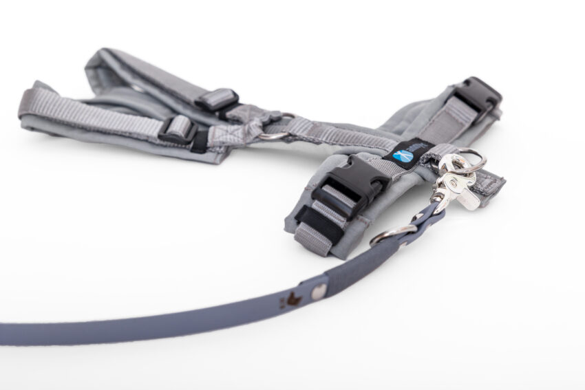 elbhunde dresden annyx set leine und brustgeschirr fun grau silber mit premium leine biothane