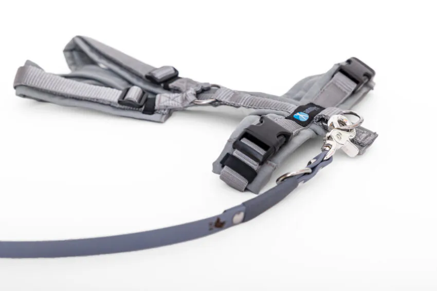 elbhunde dresden annyx set leine und brustgeschirr fun grau silber mit premium leine biothane
