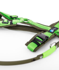 elbhunde dresden annyx set leine und brustgeschirr fun oliv hellgruen mit premium leine biothane