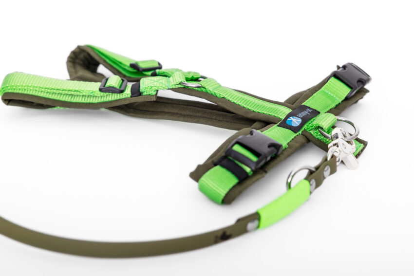 elbhunde dresden annyx set leine und brustgeschirr fun oliv hellgruen mit premium leine biothane