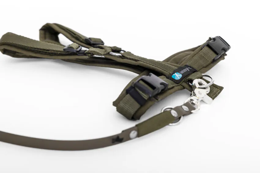 elbhunde dresden annyx set leine und brustgeschirr fun oliv oliv mit premium leine biothane