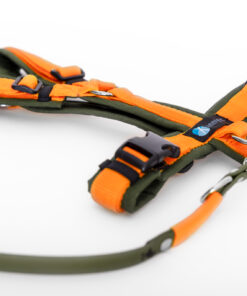 elbhunde dresden annyx set leine und brustgeschirr fun oliv orange mit premium leine biothane