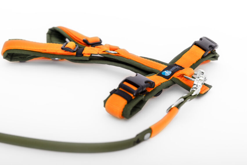 elbhunde dresden annyx set leine und brustgeschirr fun oliv orange mit premium leine biothane