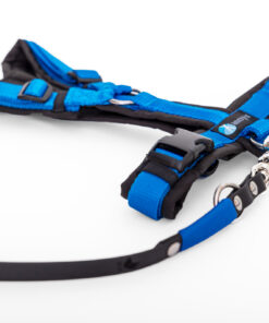 elbhunde dresden annyx set leine und brustgeschirr fun schwarz blau mit premium leine biothane
