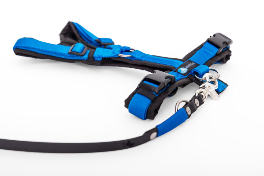 elbhunde dresden annyx set leine und brustgeschirr fun schwarz blau mit premium leine biothane