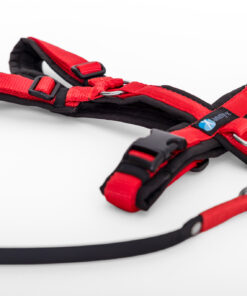 elbhunde dresden annyx set leine und brustgeschirr fun schwarz rot mit premium leine biothane