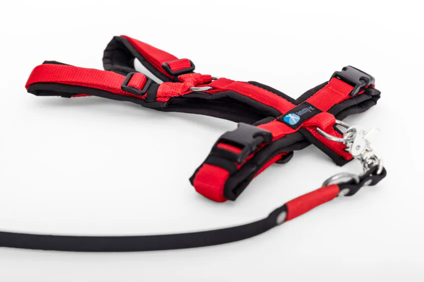 elbhunde dresden annyx set leine und brustgeschirr fun schwarz rot mit premium leine biothane