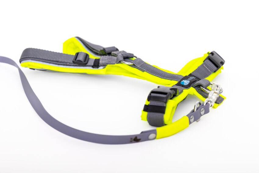 elbhunde dresden annyx set leine und brustgeschirr safety leuchtgelb grau mit premium leine biothane