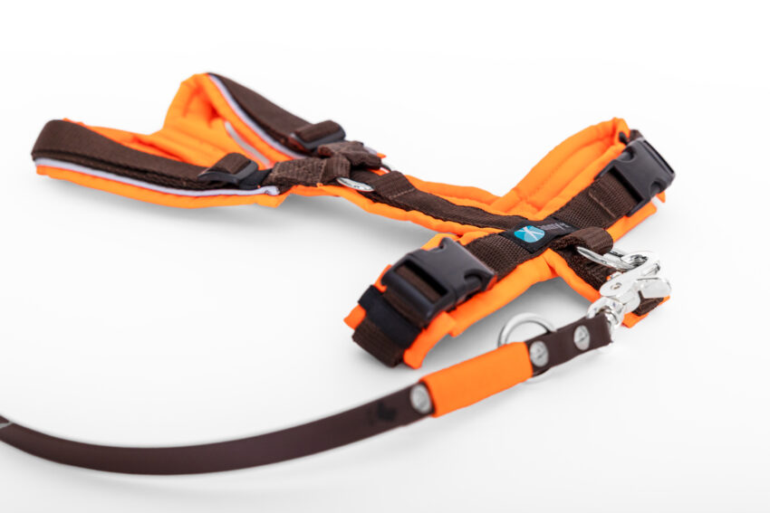 elbhunde dresden annyx set leine und brustgeschirr safety leuchtorange braun mit premium leine biothane
