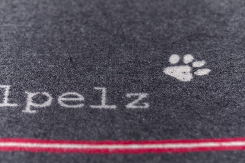 elbhunde dresden david fussenegger decke kleiner faulpelz detail