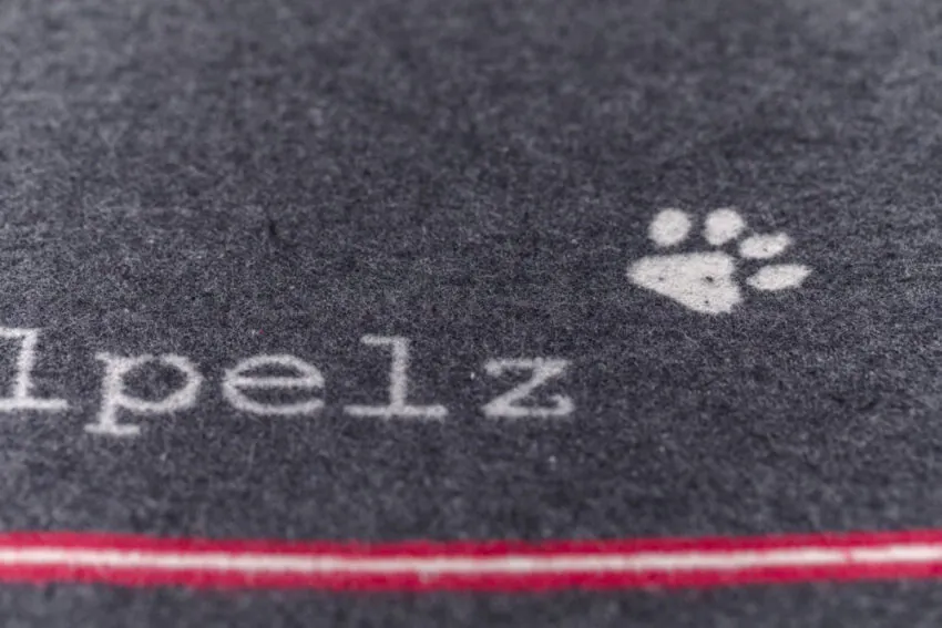 elbhunde dresden david fussenegger decke kleiner faulpelz detail