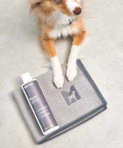 elbhunde dresden miacara hundehandtuch panno beton hund