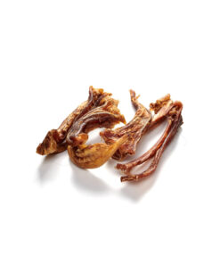 elbhunde dresden pferde achillessehne