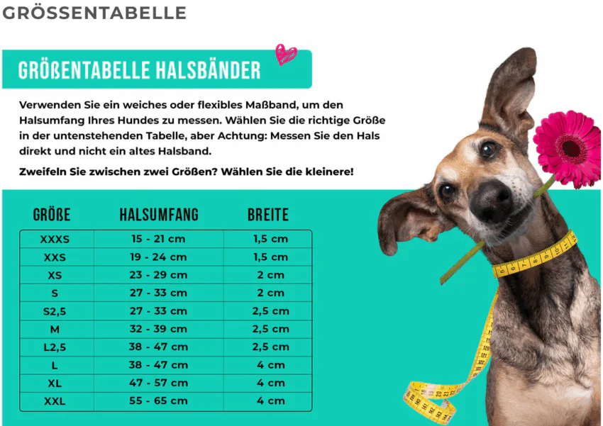 elbhunde dwam halsband groessentabelle