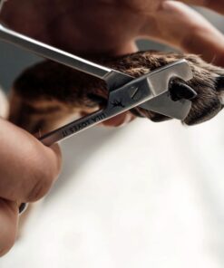 elbhunde lila loves it krallenschere hund