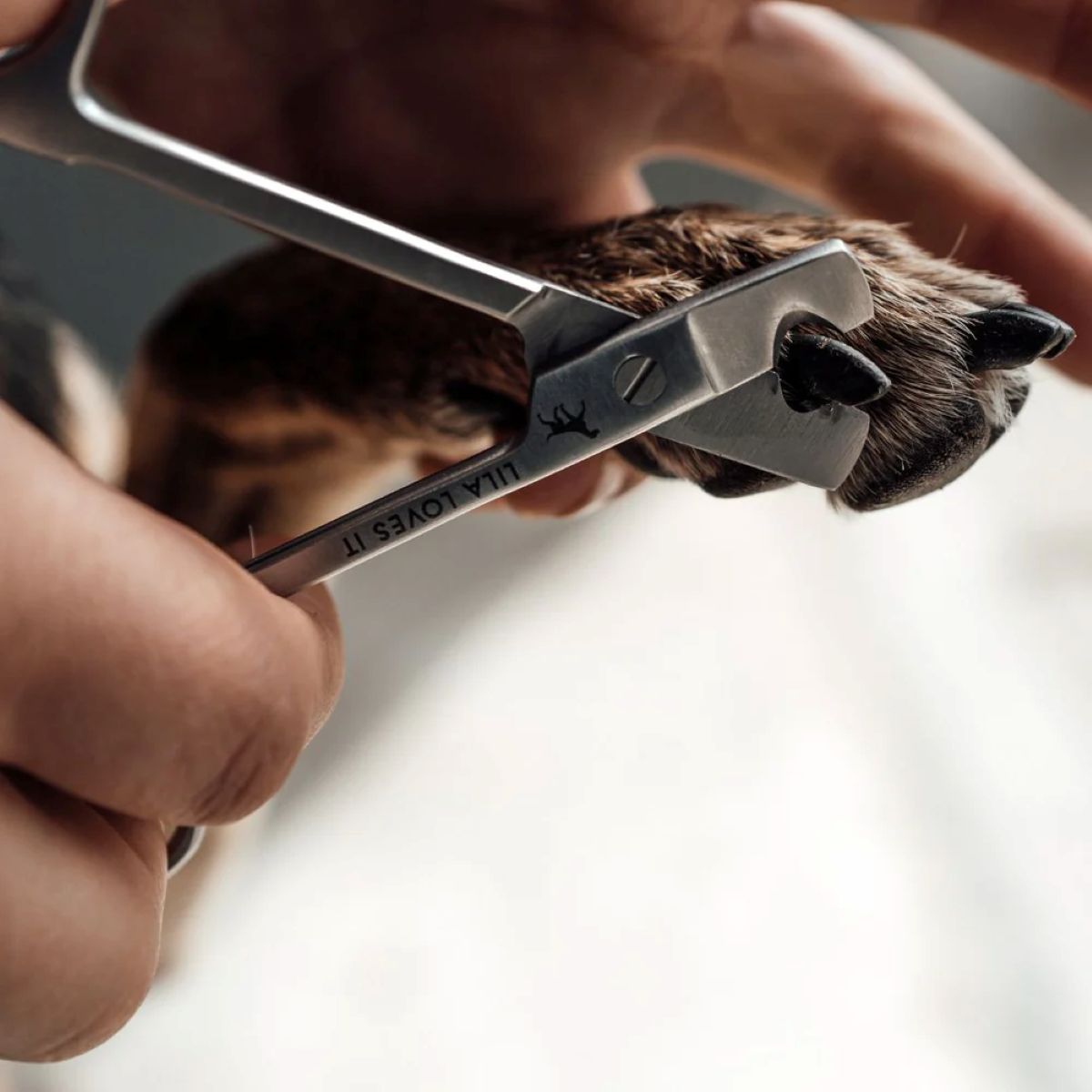 elbhunde lila loves it krallenschere hund