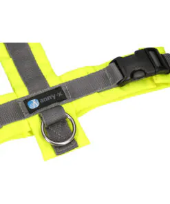 elbhunde annyx brustgeschirr protect leuchtgelb grau detail