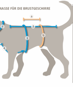 elbhunde dresden annyx brustgeschirr messanleitung