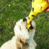 Elbhunde Dresden Beco Pets Hundespielzeug George Giraffe Hund