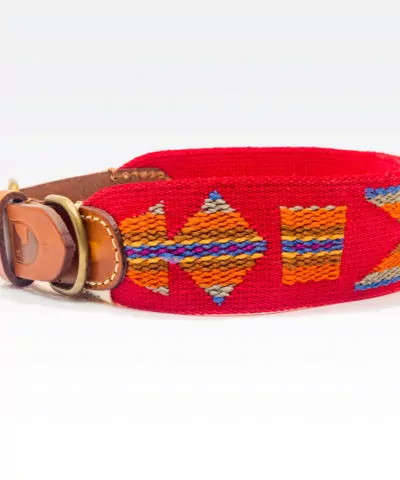 Elbhunde Dresden Buddys Dogwear Etna Red Halsband
