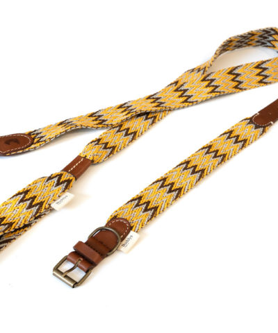 elbhunde dresden buddys dogwear peruvian gold leine halsband set