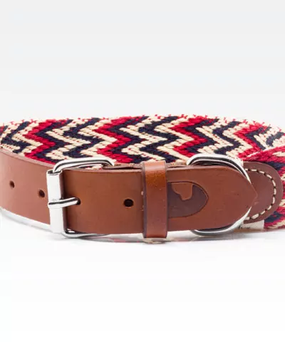 Elbhunde Dresden Buddys Dogwear Peruvian Pikes Orange Halsband Leder