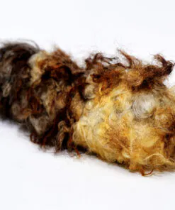 elbhunde dresden herz und hund hundespielzeug schafwolle wuschel s