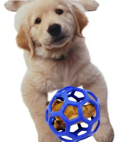 elbhunde dresden hundespielzeug ball jw hol ee roller lile welpe