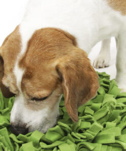 elbhunde dresden knauders best hundespielzeug beschaeftigung kopfarbeit schnueffelrasen beagle