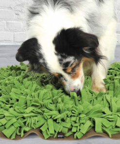 elbhunde dresden knauders best hundespielzeug beschaeftigung kopfarbeit schnueffelrasen hund