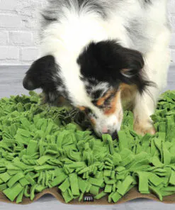 elbhunde dresden knauders best hundespielzeug beschaeftigung kopfarbeit schnueffelrasen hund