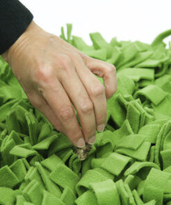 elbhunde dresden knauders best hundespielzeug beschaeftigung kopfarbeit schnueffelrasen versteck