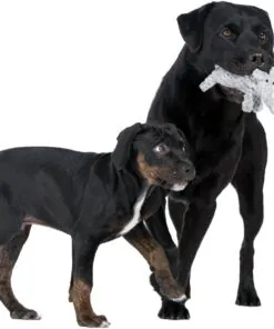 elbhunde dresden laboni hundespielzeug elton elefant hunde