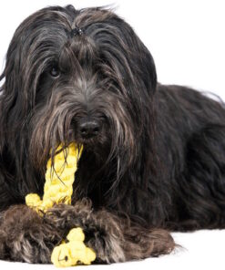 elbhunde dresden laboni hundespielzeug greta giraffe hund